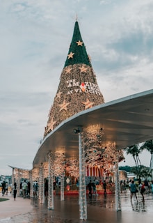 people sitting on chairs near christmas tree under gray sky during daytime