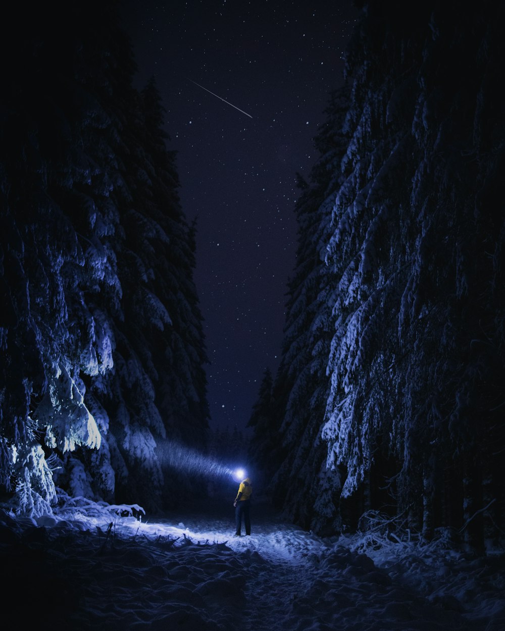 person in black jacket standing in front of waterfalls during night time