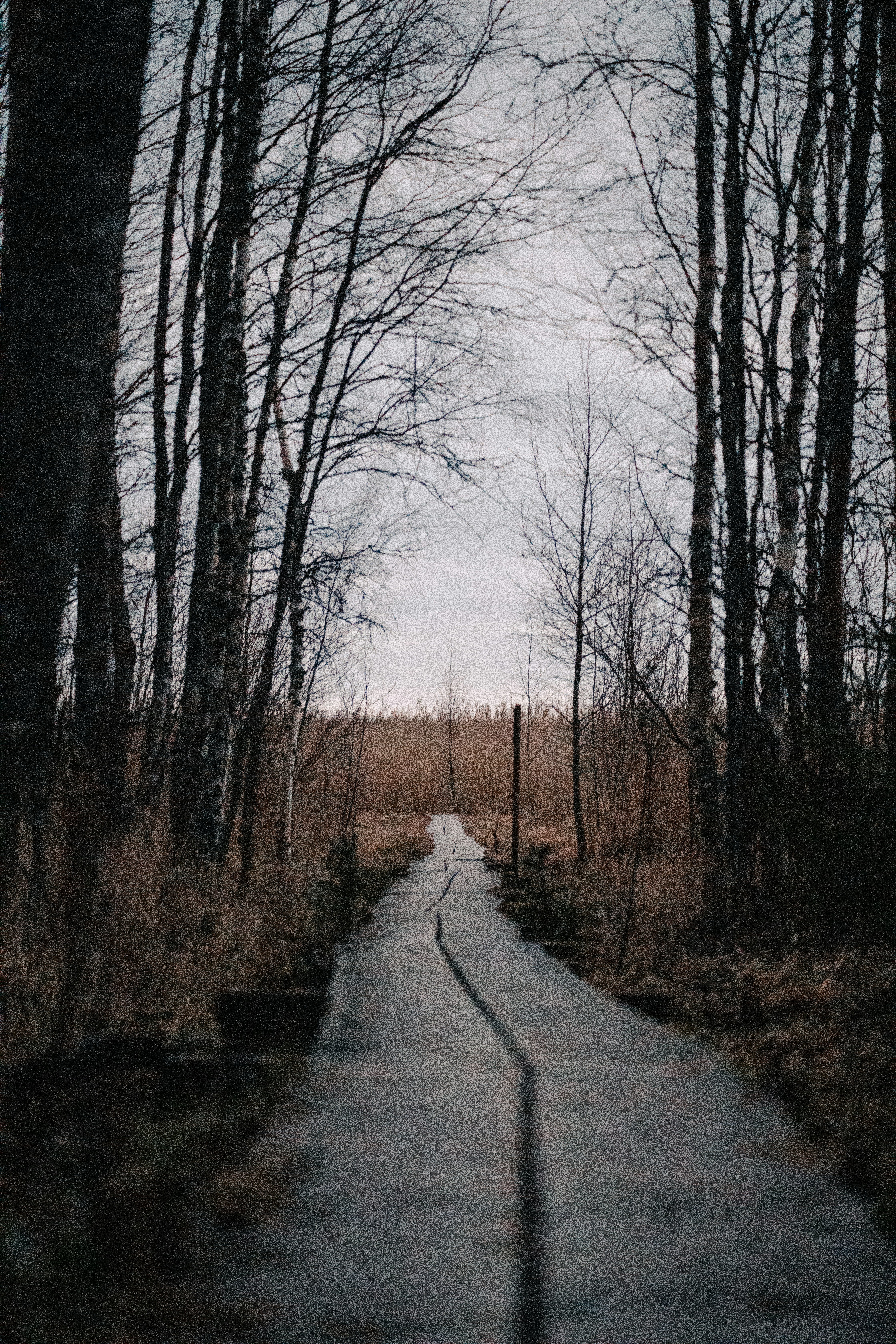 Photo by oliverjoonatan