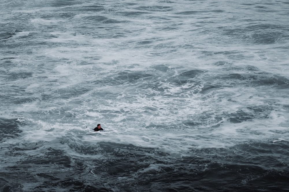 persona che fa surf sulle onde del mare durante il giorno