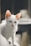 A white cat with piercing blue eyes and prominent ears is captured in a close-up shot. The cat is gazing intently forward, and the image background is softly blurred, accentuating the delicate features of the feline.