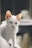 A white cat with piercing blue eyes and prominent ears is captured in a close-up shot. The cat is gazing intently forward, and the image background is softly blurred, accentuating the delicate features of the feline.