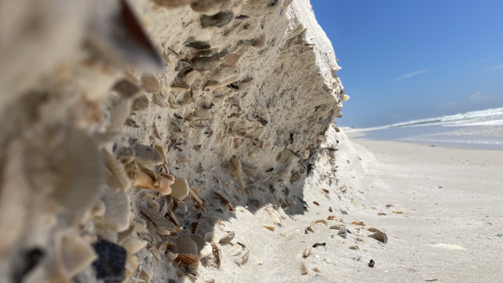 white sand near body of water during daytime