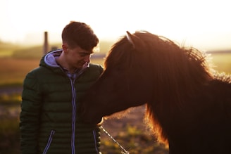 A calm person gently interacting with a horse in a green paddock during golden hour