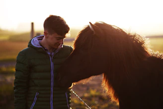 A rider and horse pausing together in the wilderness, surrounded by soft golden light.