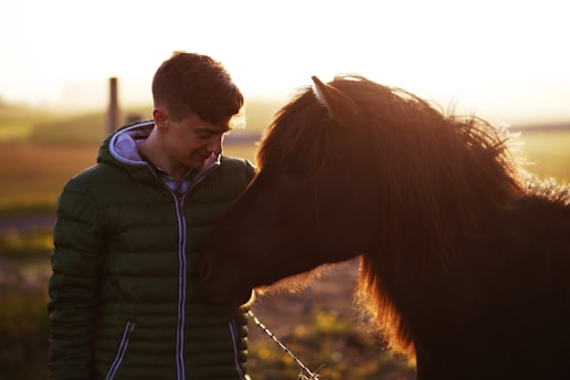 A calm person gently interacting with a horse in a green paddock during golden hour