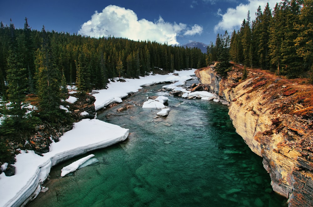 a river running through a forest filled with snow