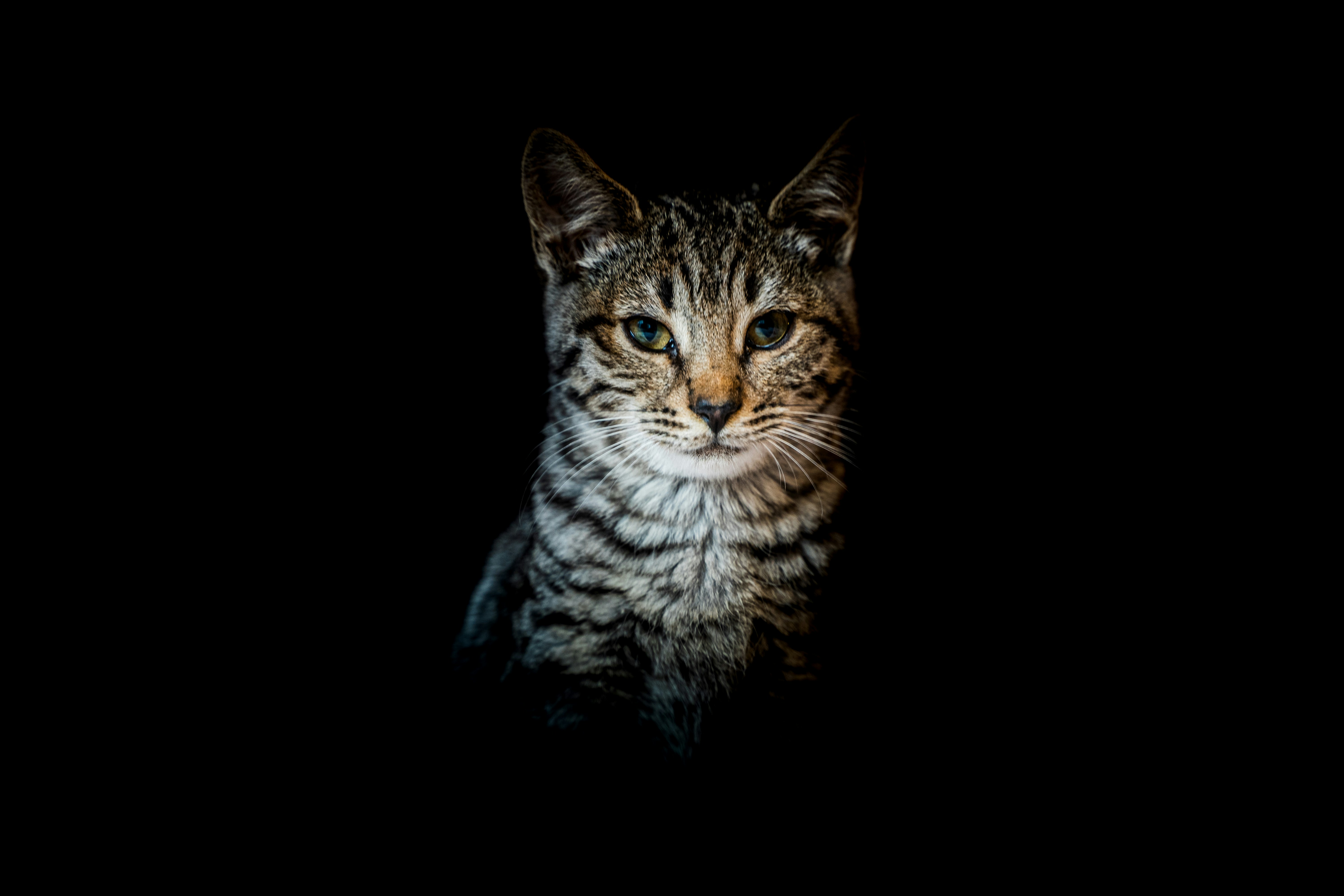 LG presenta la gama OLED 2024: B4, C4, G4 y M4: 144Hz, MLA y hasta 3.000 nits