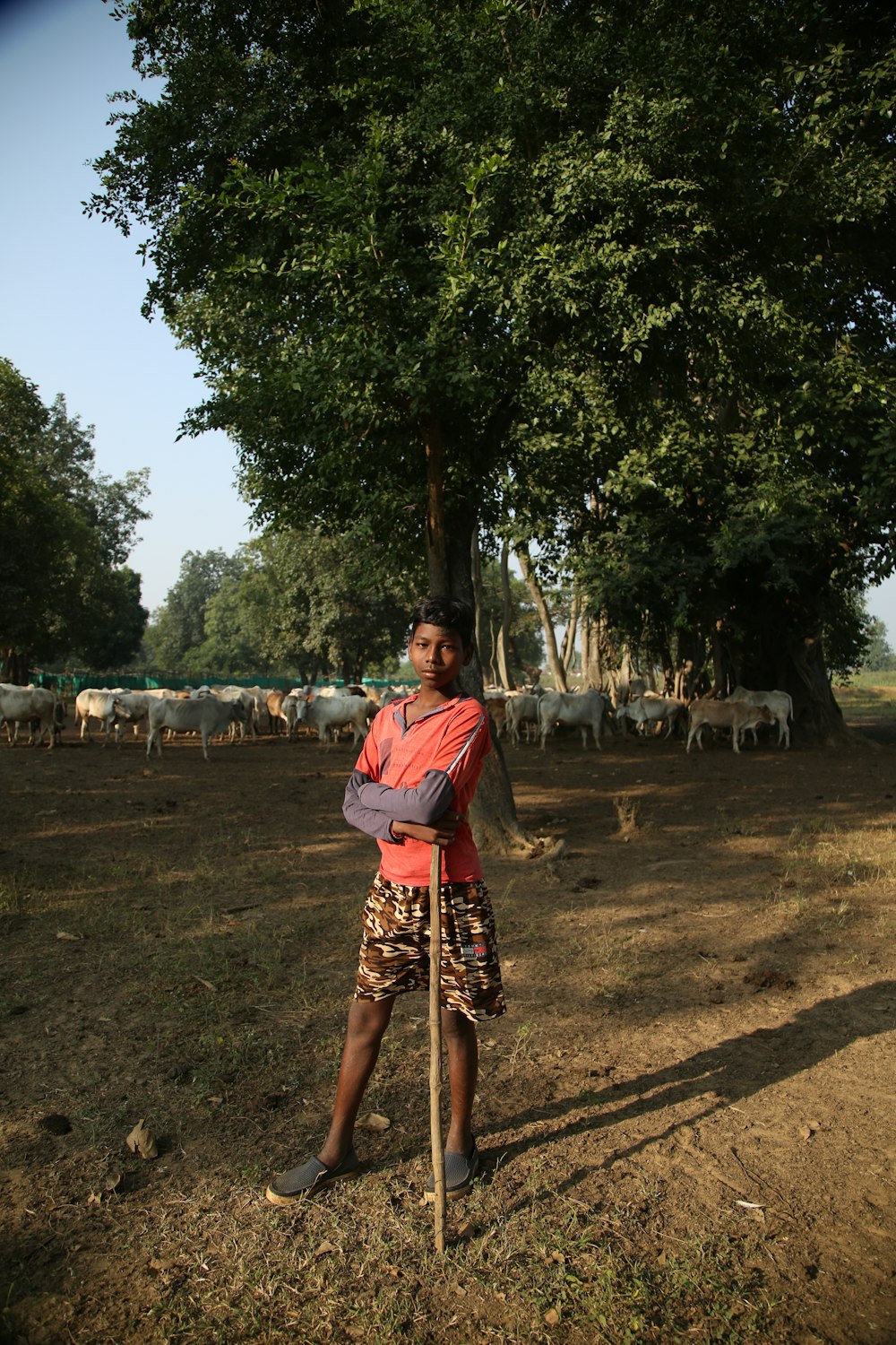 a man standing in a field with a stick