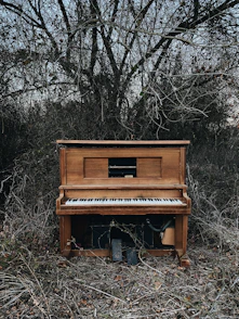 brown upright piano near black bare trees