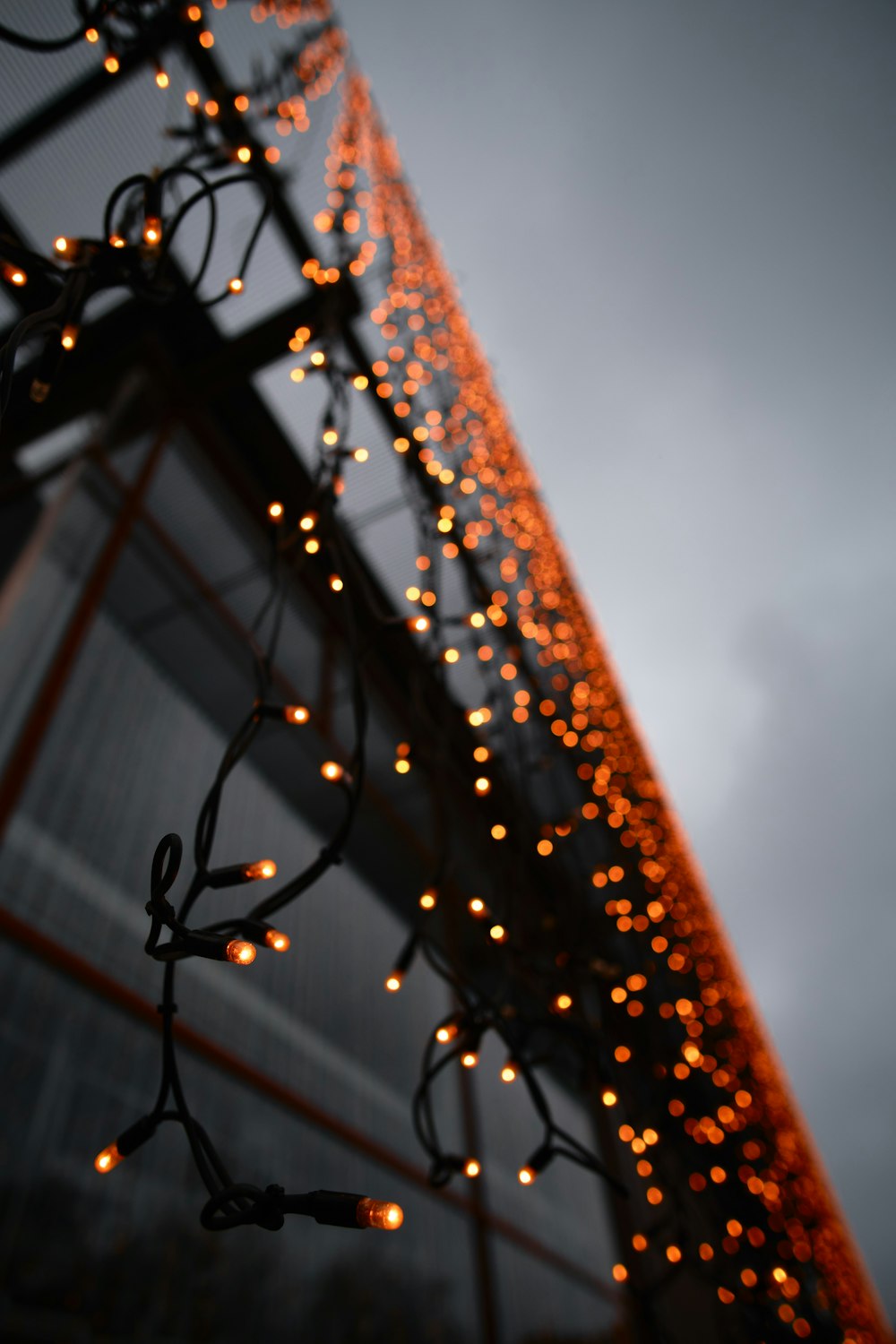 brown string lights during daytime