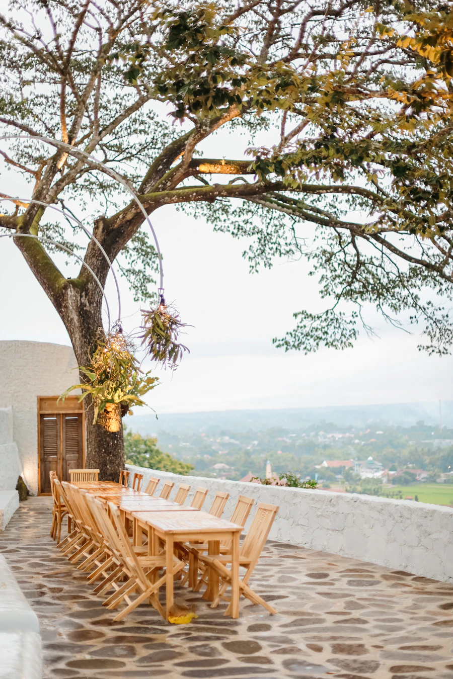 Teak outdoor lounge chair near a green tree