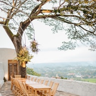 brown wooden chair near green tree during daytime