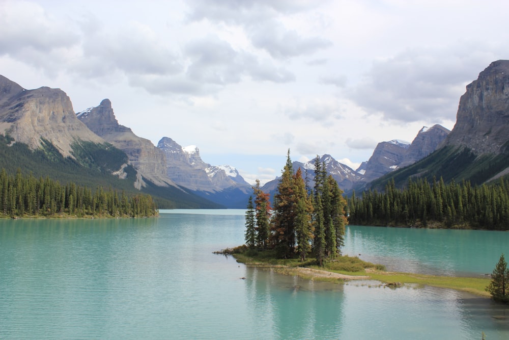 green pine trees near lake and mountains during daytime