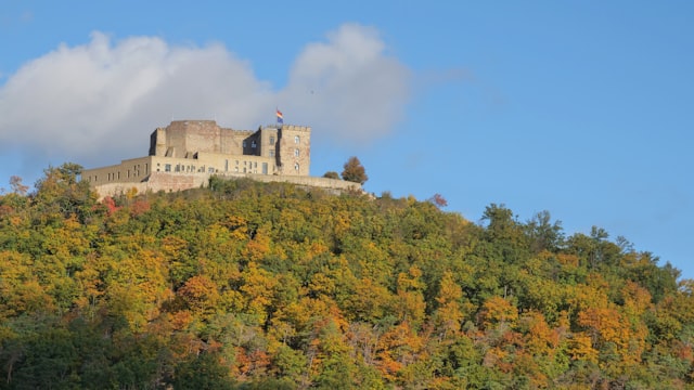Förderung zur Modernisierung des Hambacher Schlosses