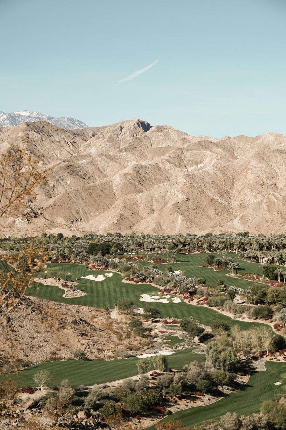 green and brown trees near mountain during daytime