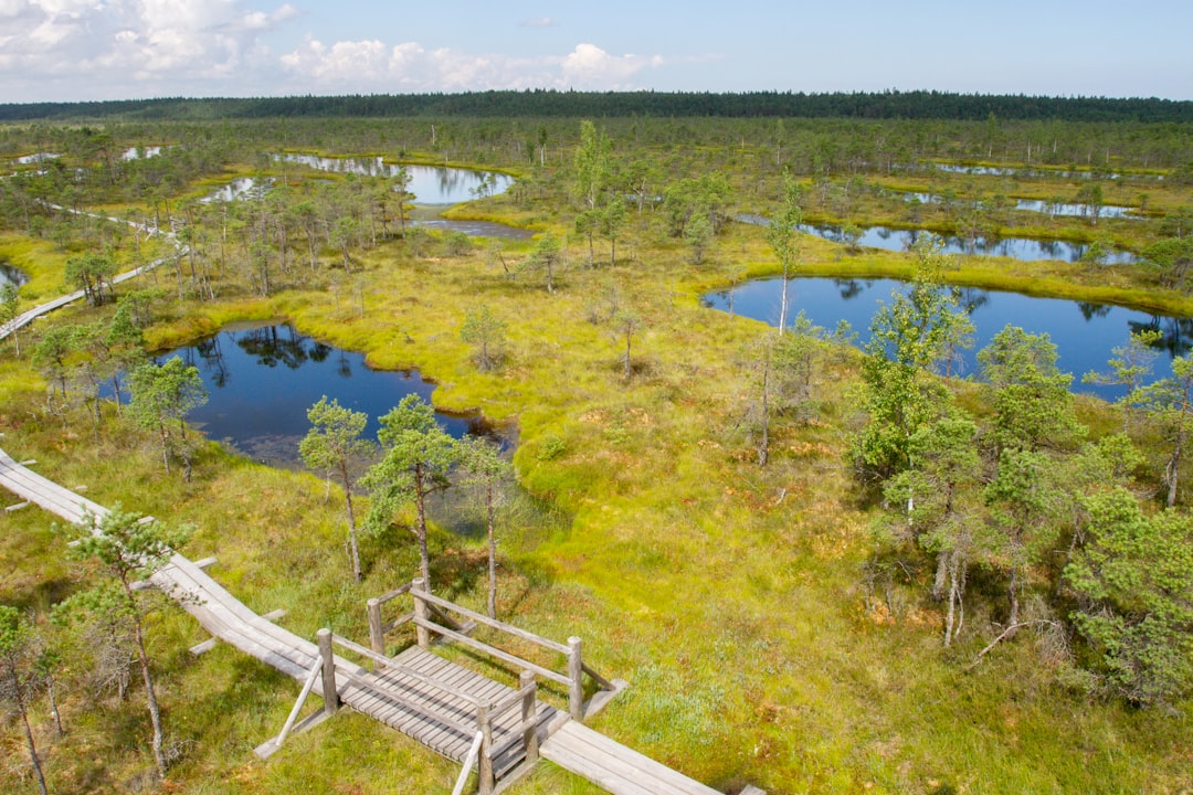 Natural landscape photo spot Ķemeri Riga International Airport