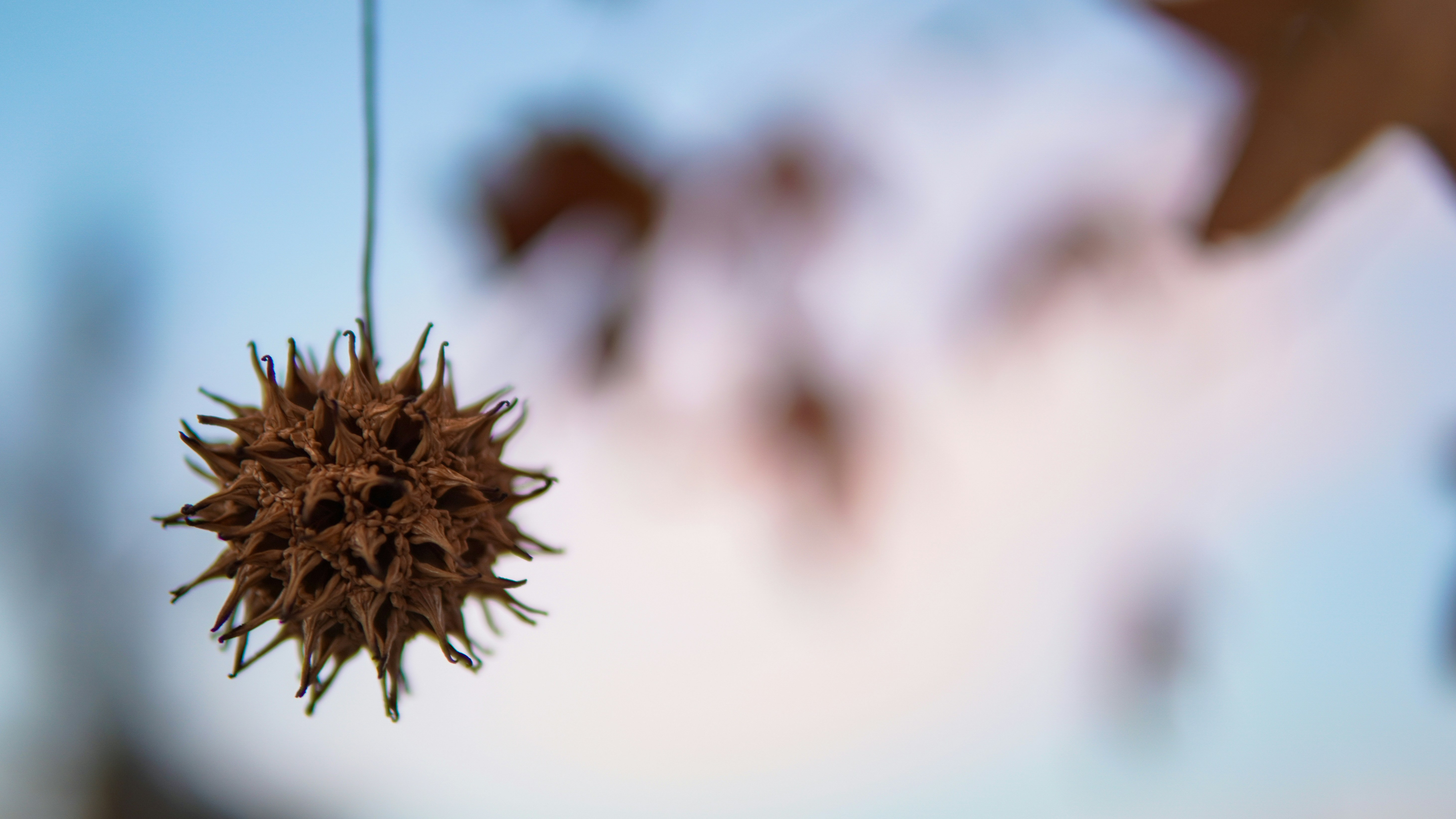 Photo by kindandcurious