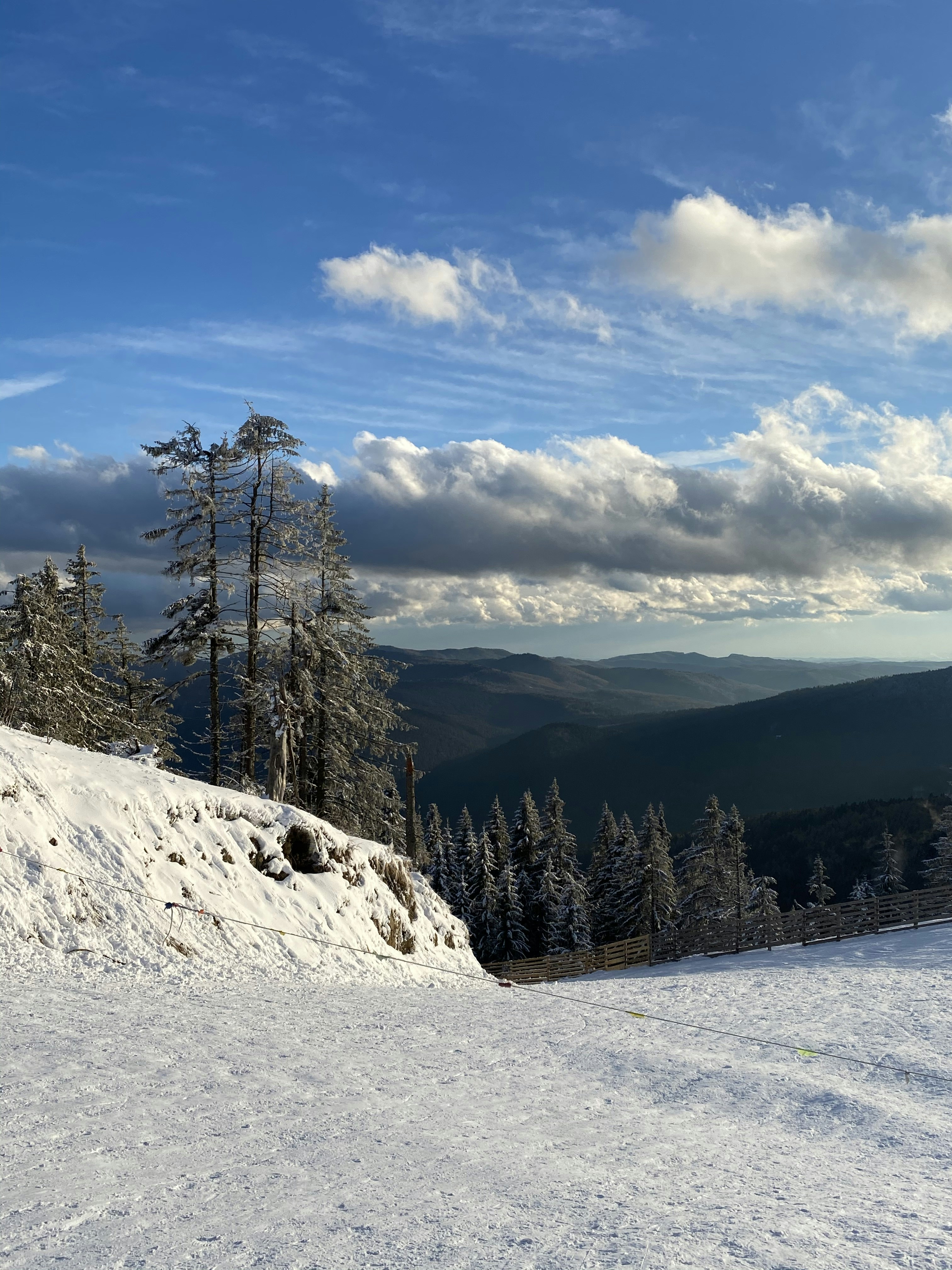 Photo by tudor_photography