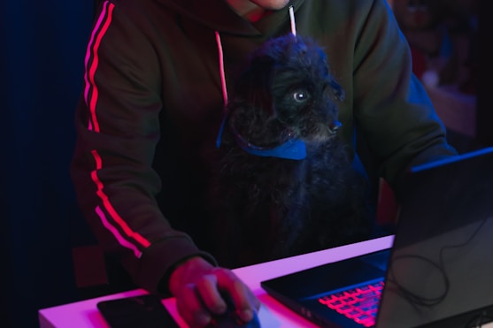 man in gray hoodie using black laptop computer