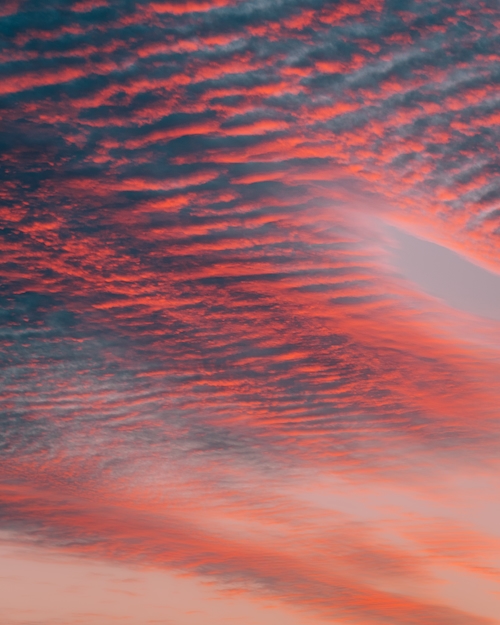 Pink and blue clouds at sunset. 