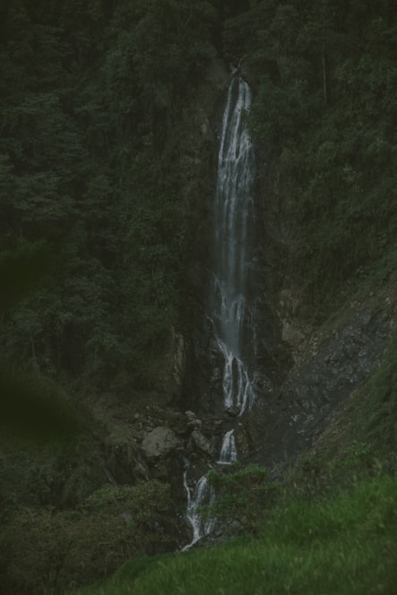 water falls in the middle of green grass field