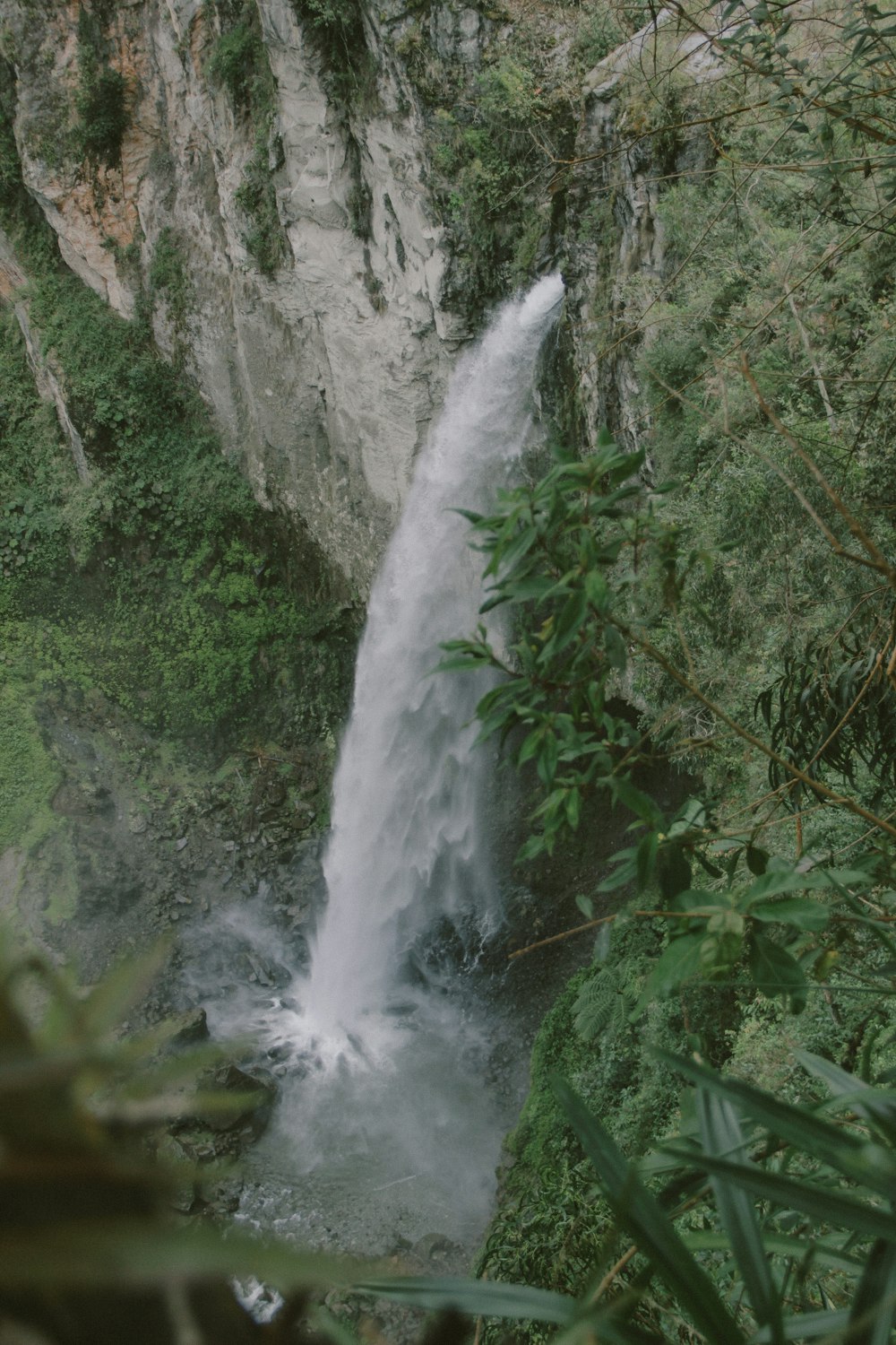 waterfalls in the middle of the forest