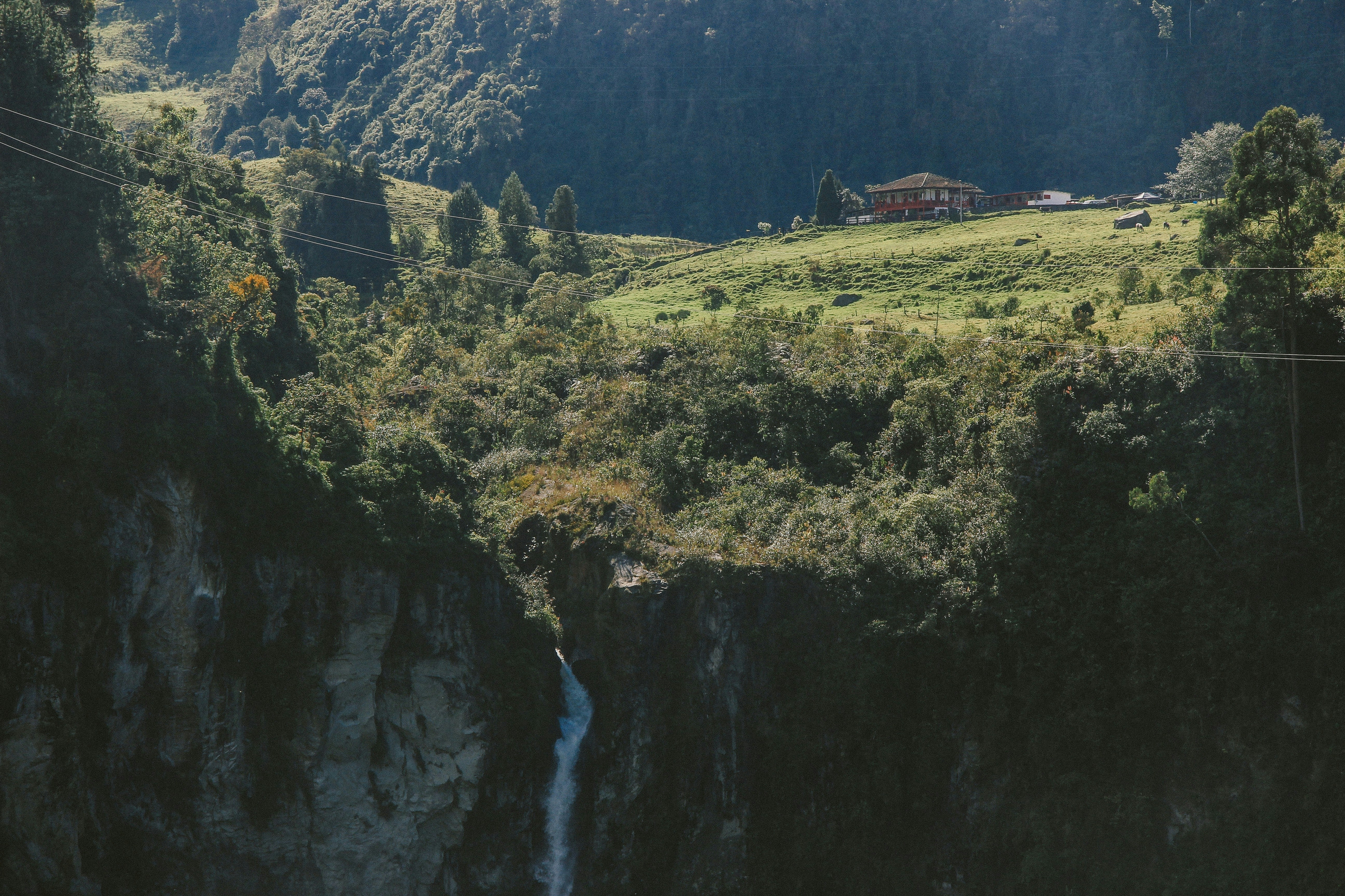 green grass field and trees on mountain