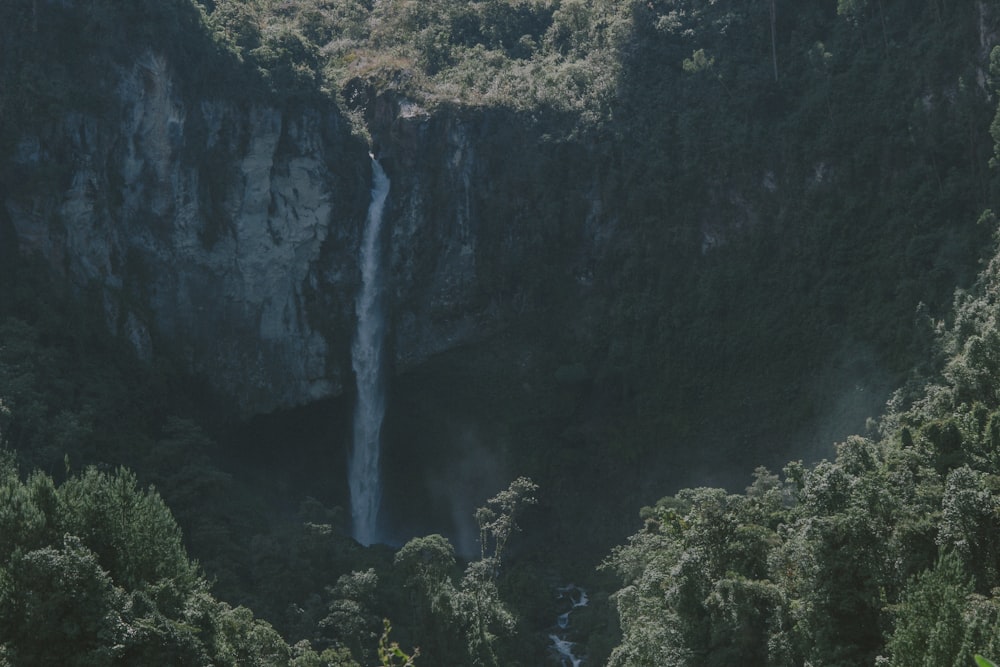 waterfalls in the middle of forest