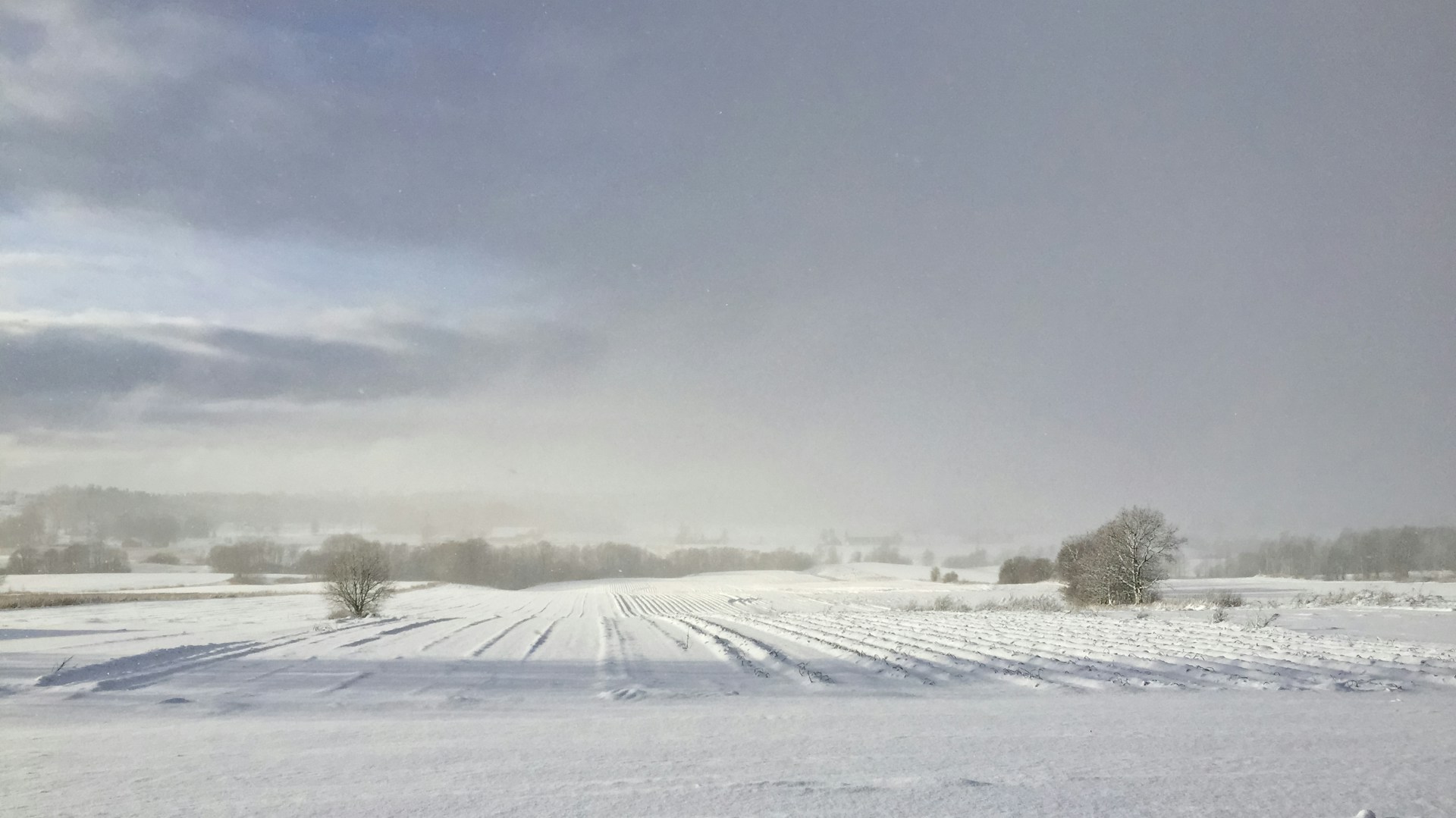 snow covered field under blue sky during daytime