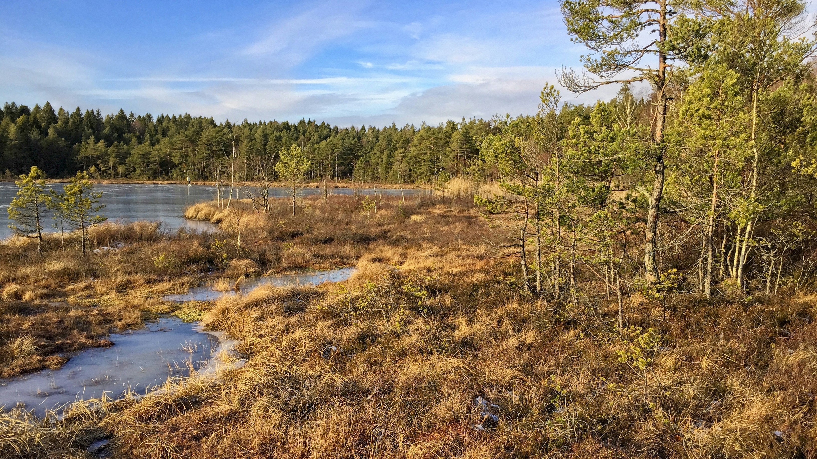 Photo by gunnarridder