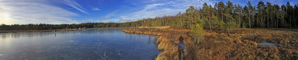 green trees beside river under blue sky during daytime