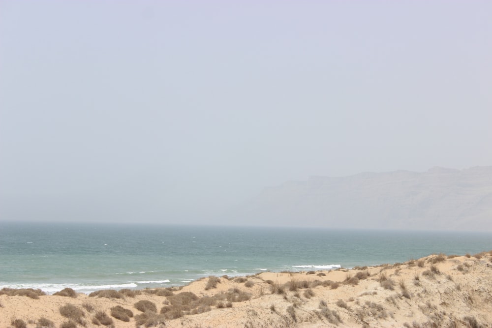 brown sand near body of water during daytime