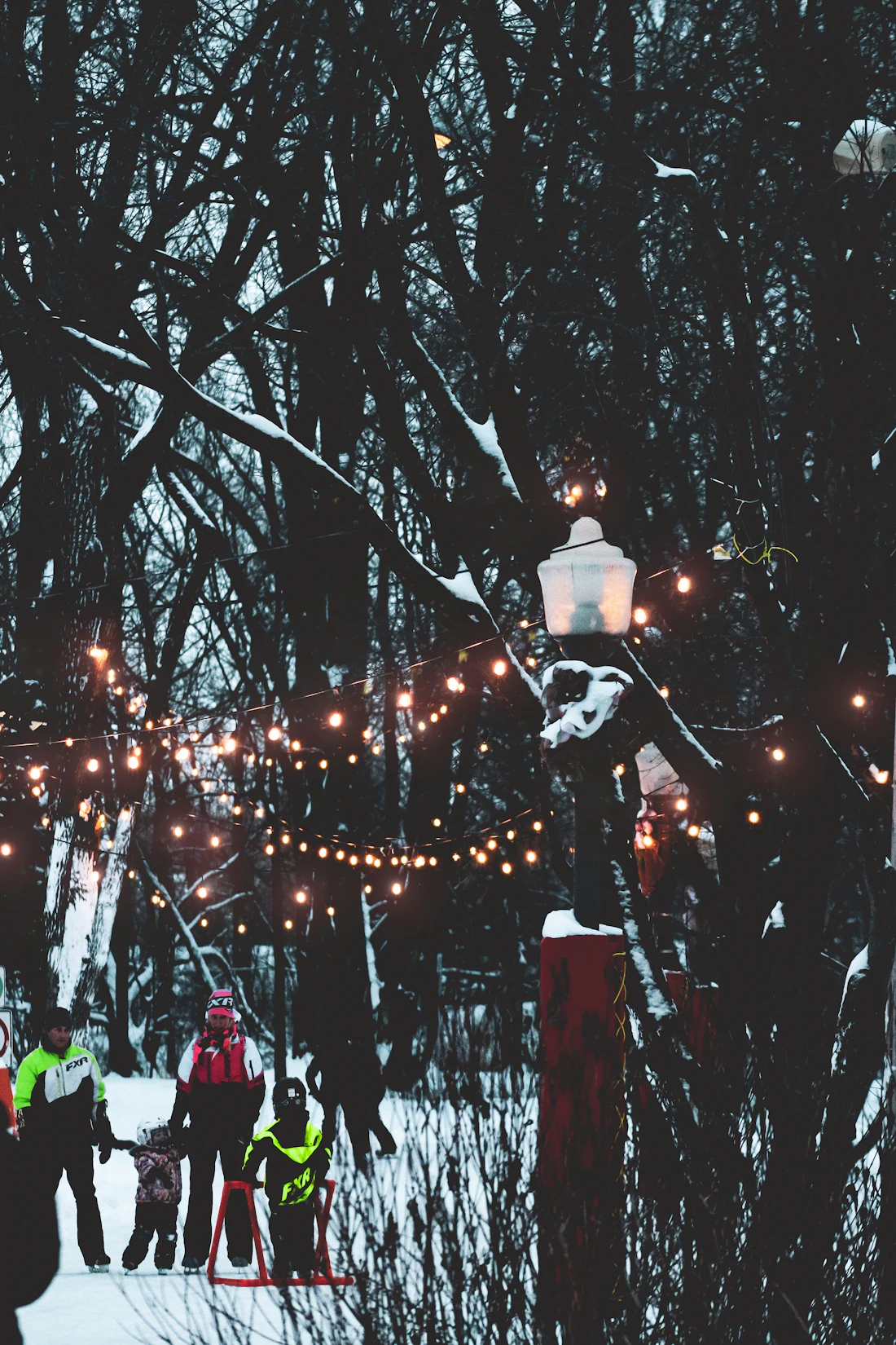 Lichtjes in een boom op een winteravond