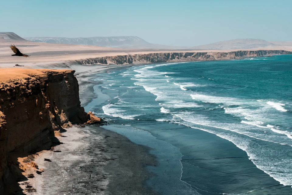 Bird perches on cliff edge, overlooking sandy beach with ocean waves crashing behind