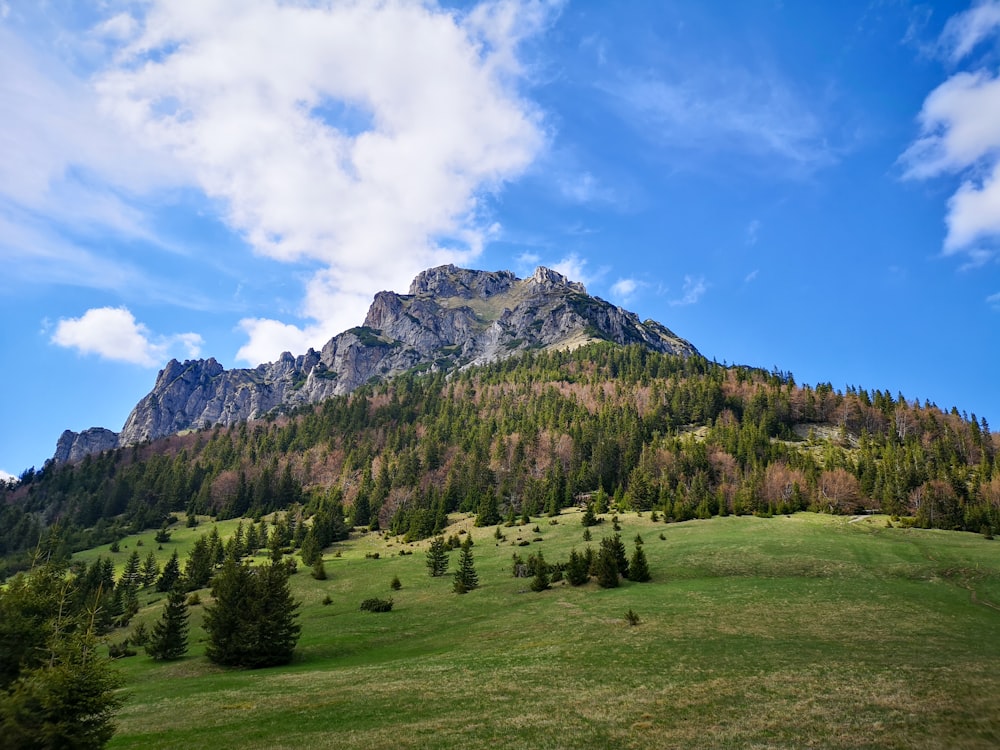 green grass field near mountain under blue sky during daytime