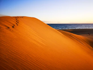Golden sand dunes meeting the Atlantic Ocean with footprints leading into the distance