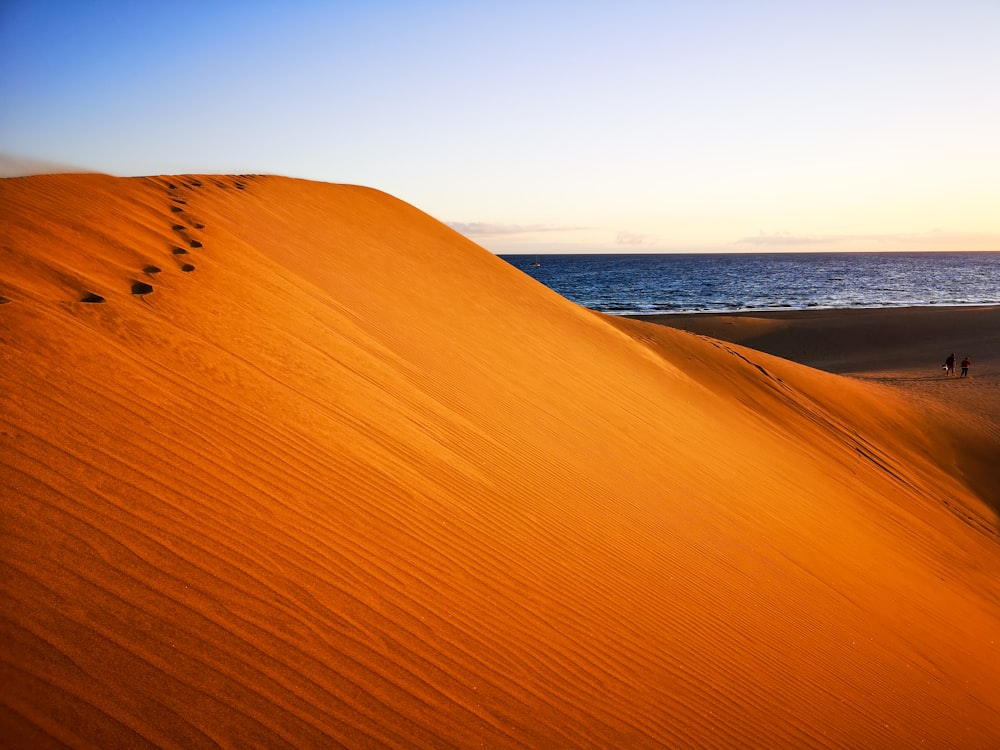 日中の水域近くの茶色の砂