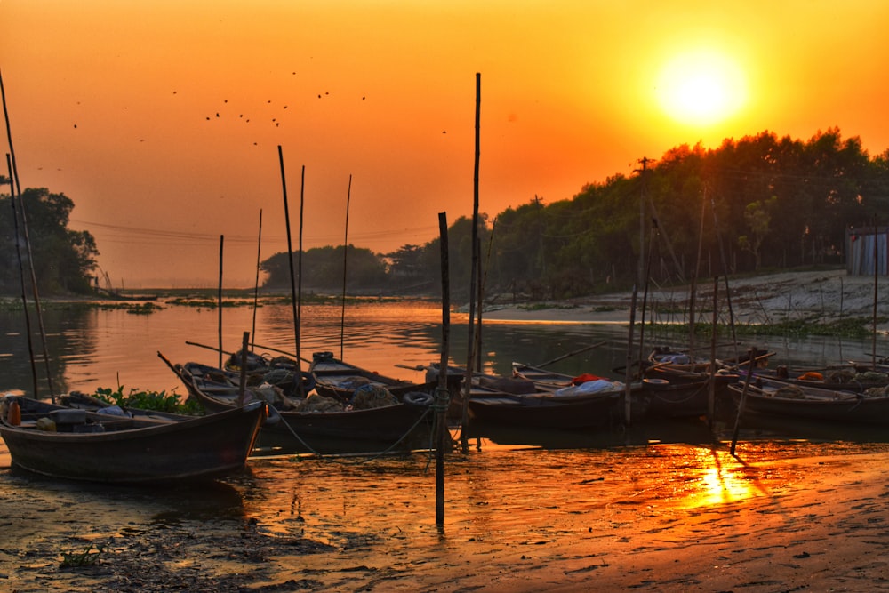 boats on water during sunset