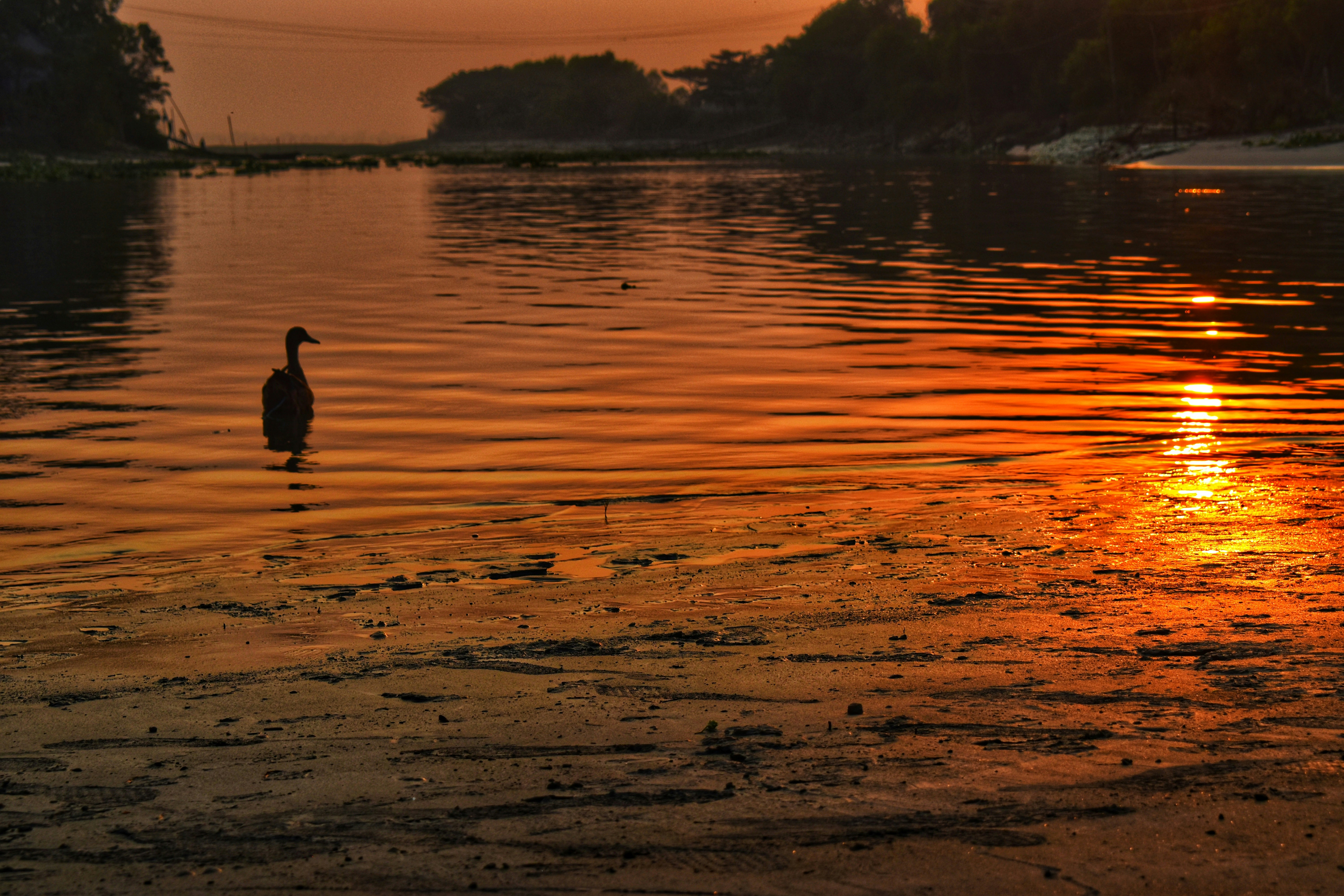 Photo by istiak_h_bhuiyan