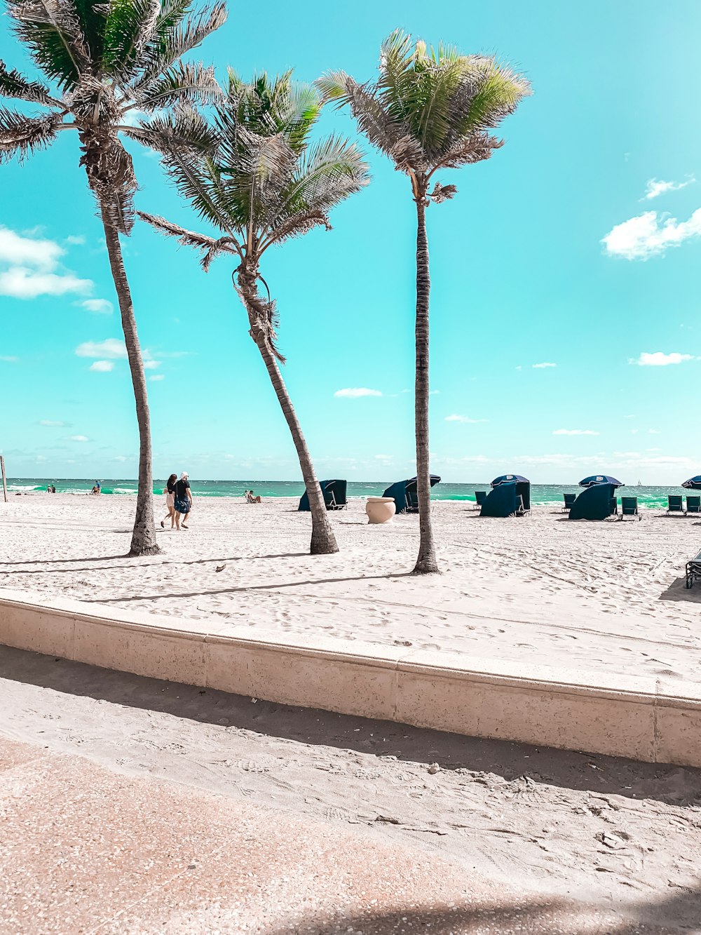 green palm trees on beach during daytime