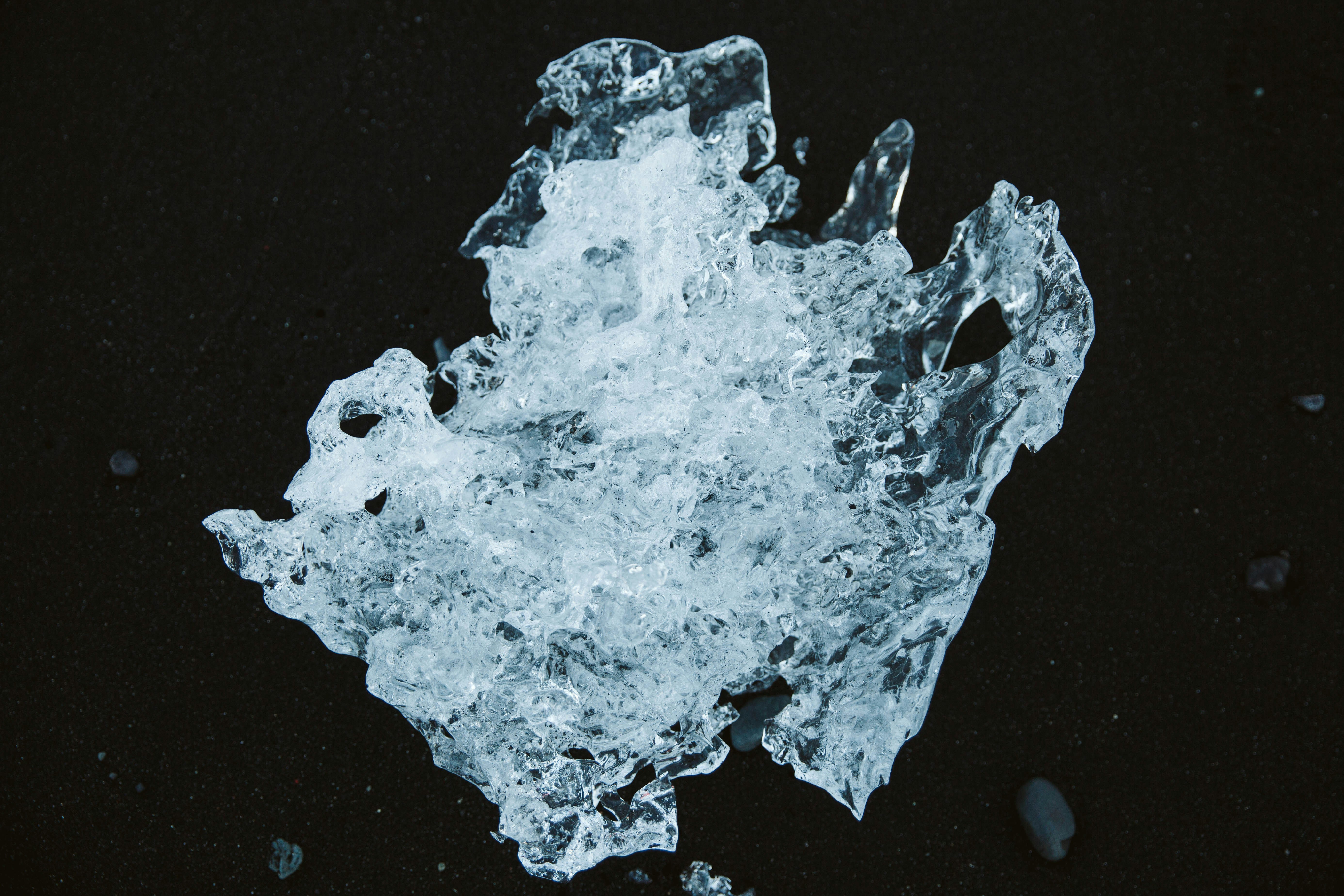 마름모정 성분 중 ‘가르시니아’의 지방 분해 작용 분석