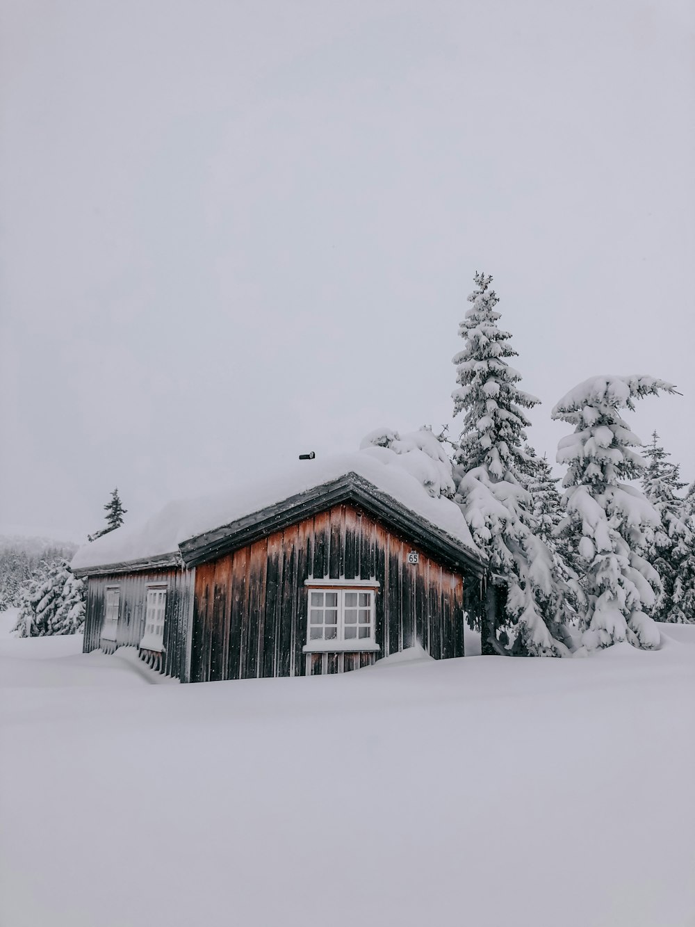 brown wooden house covered with snow