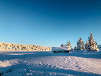 white and black boat on snow covered ground under blue sky during daytime