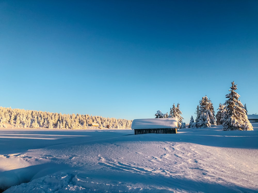 white and black boat on snow covered ground under blue sky during daytime