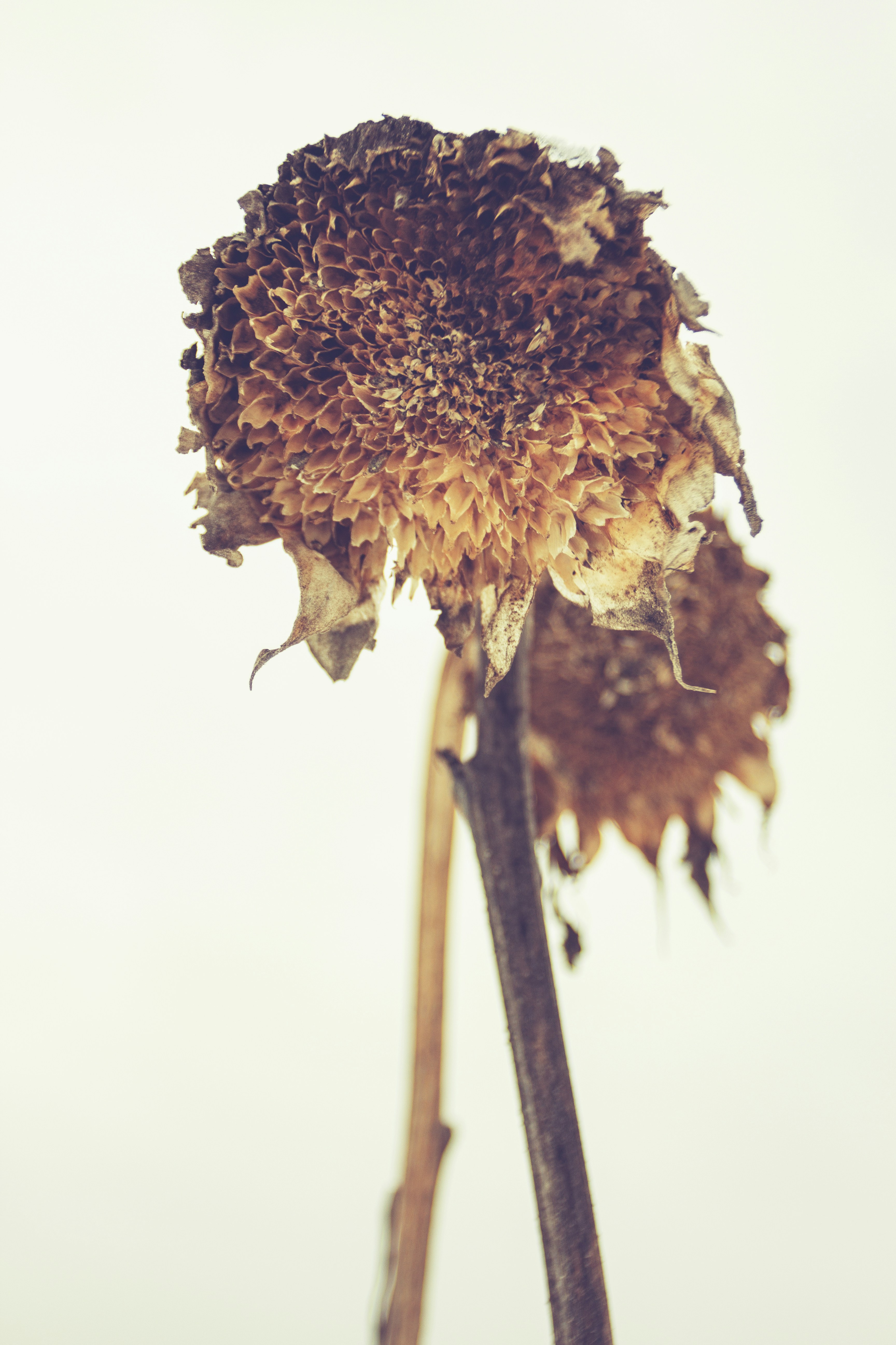 Photo by shutter_speed_