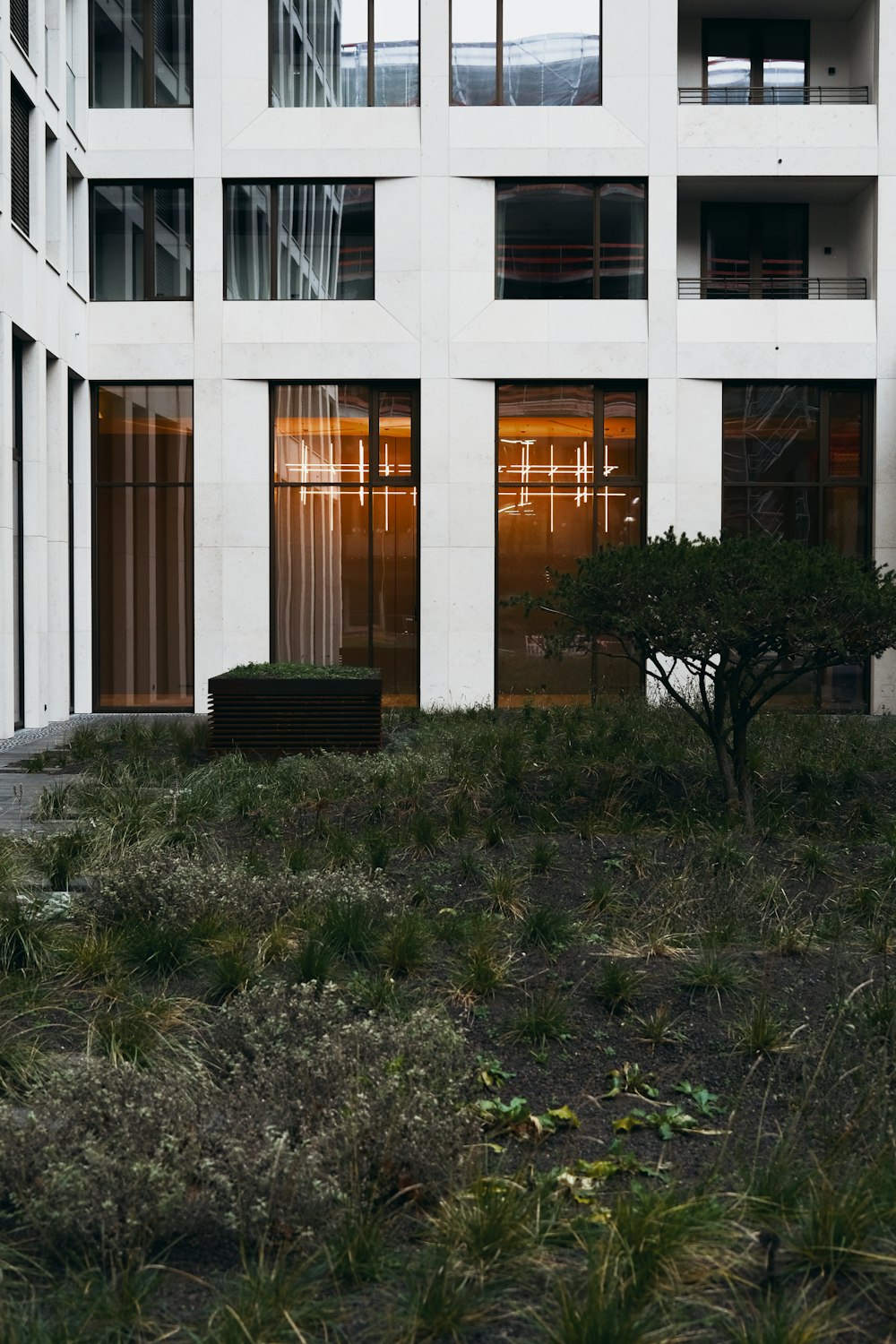 Champ d’herbe verte près d’un bâtiment en béton blanc pendant la journée