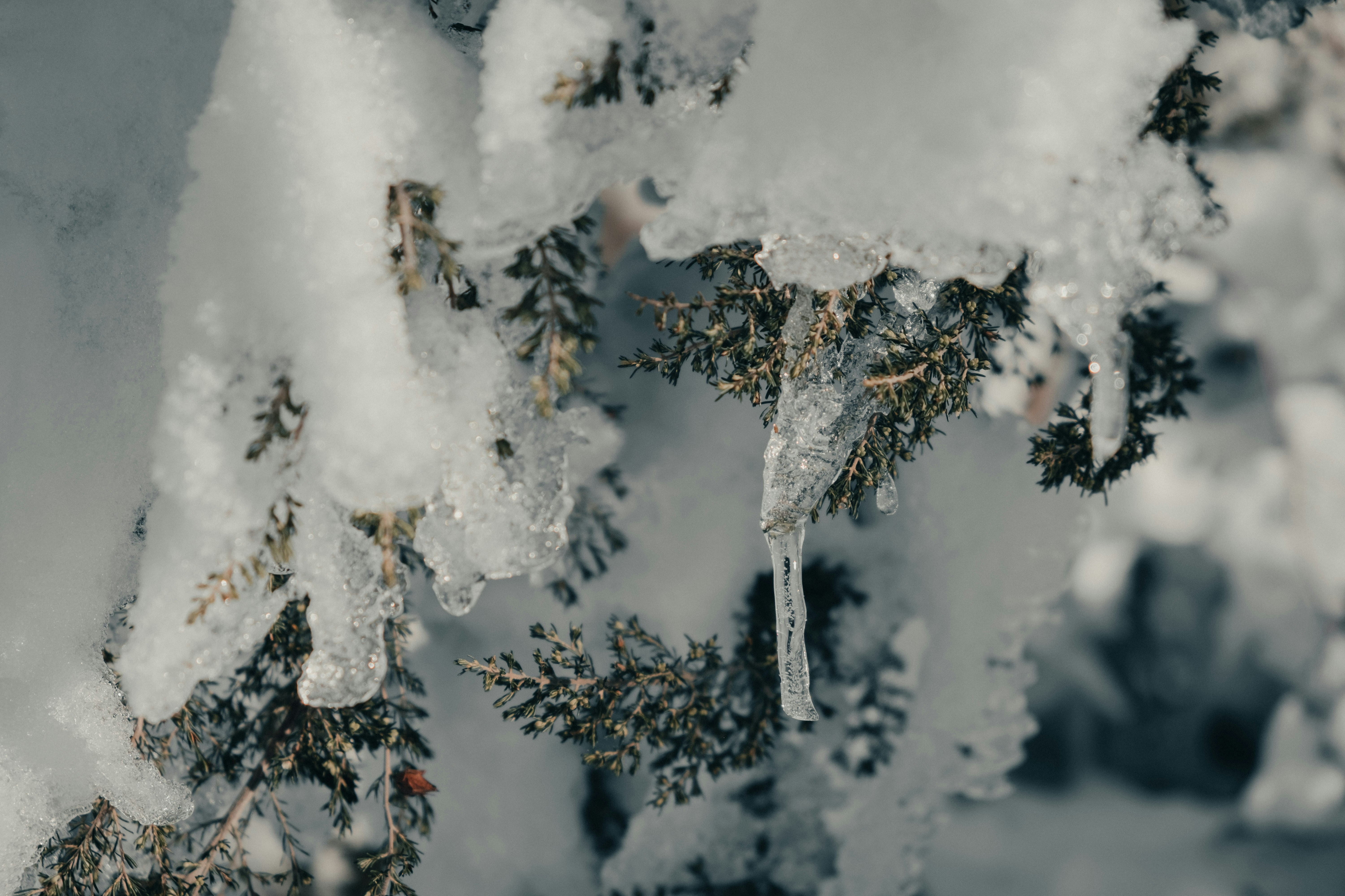 Photo by absolutocaos