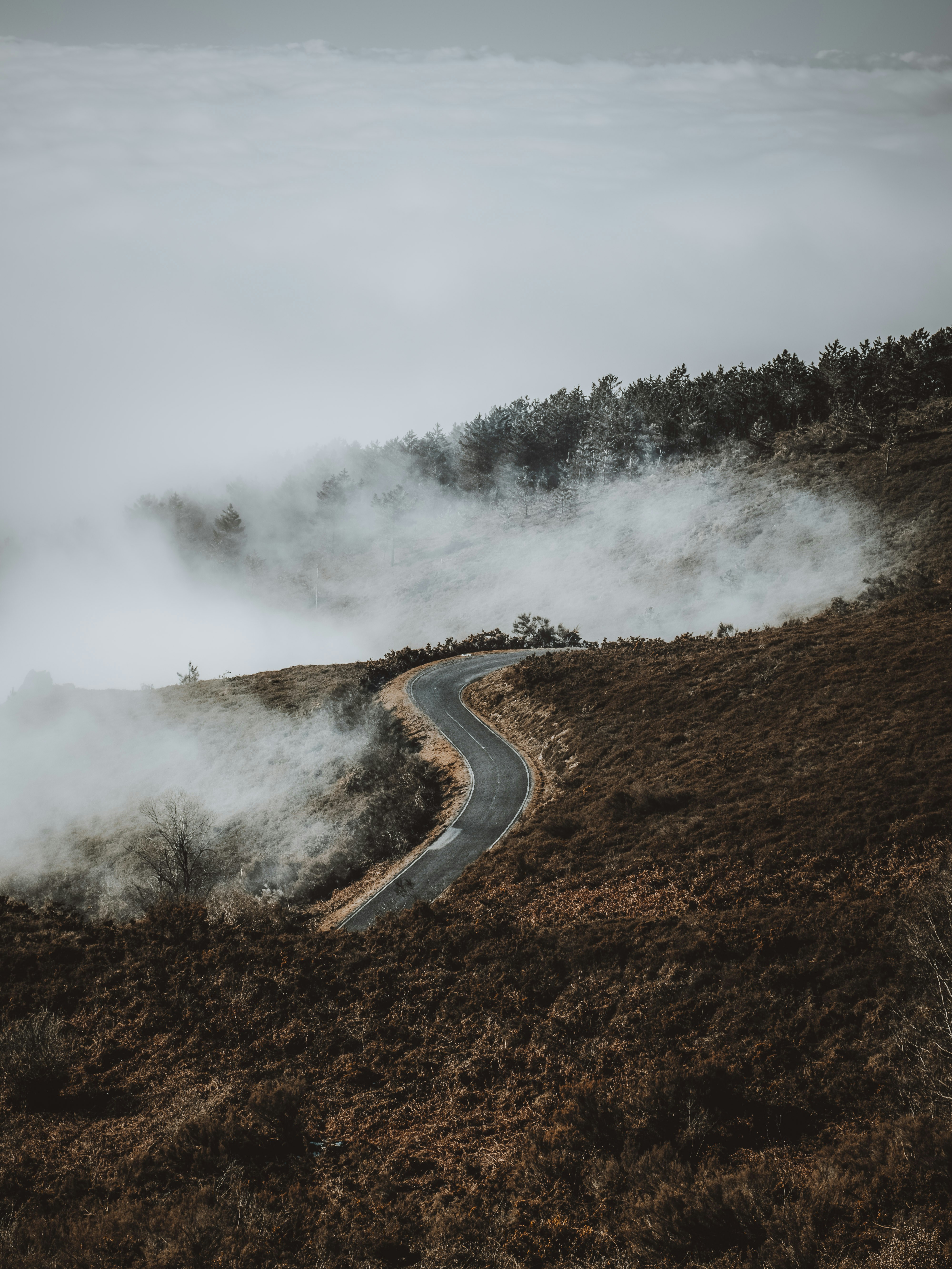 Photo by absolutocaos