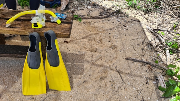 Bright yellow snorkeling gear, including fins and a snorkel set, is placed on a rustic wooden bench. The bench is situated on a sandy beach, with small green plants and twigs scattered around.